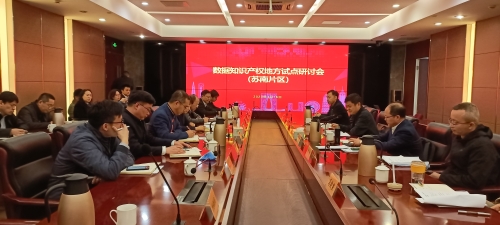 江苏省知识产权局组织召开苏南片区数据知识产权地方试点研讨会